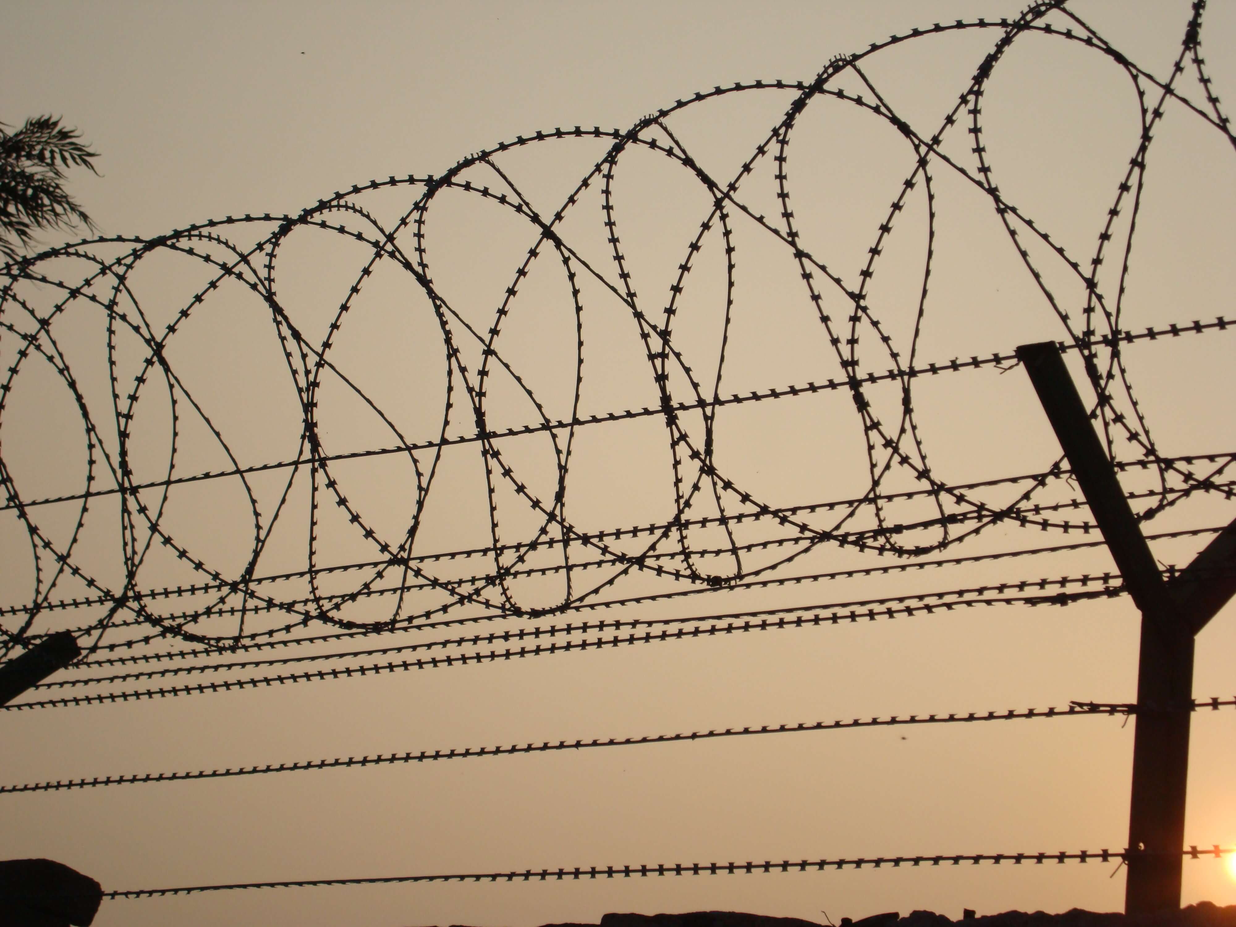 Concertina Coil Fencing: Safeguard Your Boundary with Dependable Security