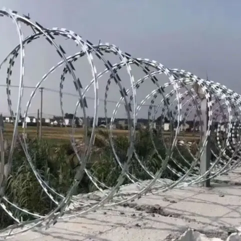 concertina-wire